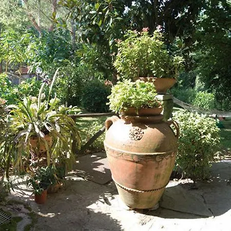 Casa Di Sasso * Arezzo